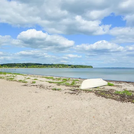 Two-bedroom Haderslev With A Fireplace 05 度假居 *